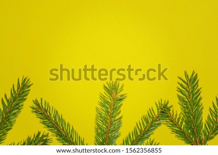 Green fir branch Christmas tree on yellow background. Happy New year and Merry Christmas concept. Copyspace for text.