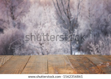 Empty dark wooden table with winter landscape with white tree and snow bokeh texture. Using as background montage concept with copy spaces and white space for your text or design.