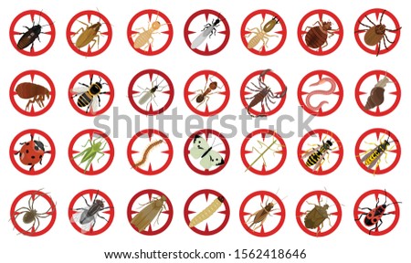 Bug of insect vector cartoon set icon.Vector illustration insect beetle. Isolated cartoon icon bug and fly beetle.