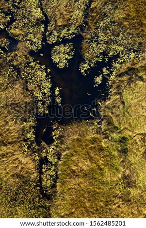 Aerial view of the Okavango Delta, Botswana. The vast inland delta is formed from the Okavango River. This flows into the Delta, creating a beautiful mosaic of water channels, grasslands and forests.