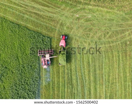 Aerial view of harvesting by agricultural machinery on a clear sunny day. Panorama from green field drone in summer