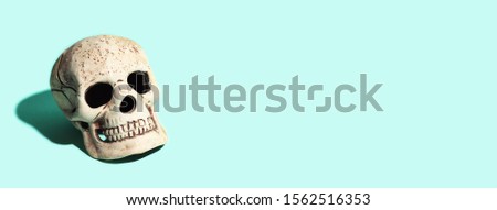 skull with a hard shadow on a mint background