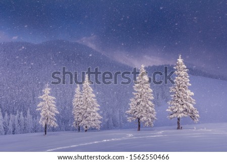 Magical landscape of mountains in winter. Fantastic morning glowing by sunlight. View of snow-covered forest trees. Background of falling snowflakes. Photo greeting card. 
