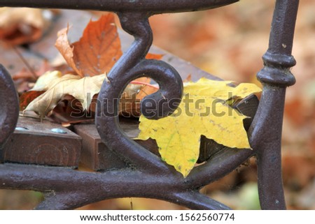 Fallen autumn leaves on a Park bench