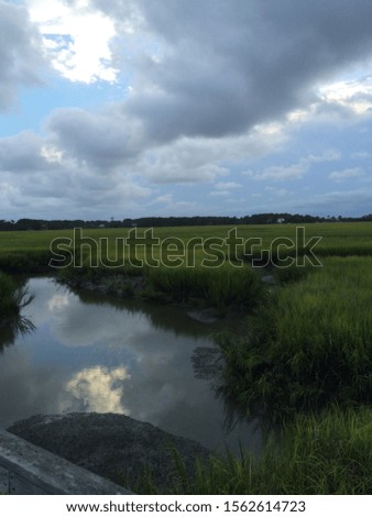 Beautiful photo of a wetland area