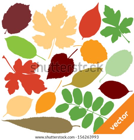 Vector collection of leaf silhouettes.