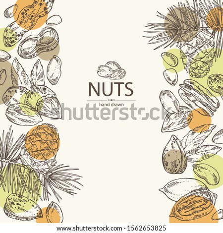 Background with nuts: almonds, pecan, peanuts and pine nuts. Vector hand drawn illustration.