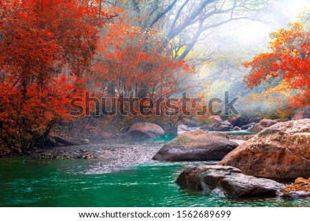 Hot Springs Onsen Natural Bath is Surrounded by red-yellow leaves. In fall leaves fall . Waterfall among many foliages, In the fall, leaves Leaf color change. Royalty-Free Stock Photo #1562689699