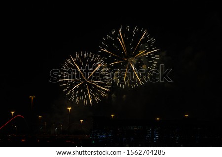 Color fireworks on black sky background