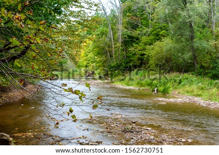 Bronte Creek provincial Park, with the view of the 12-mile creek that crosses the park. Royalty-Free Stock Photo #1562730751