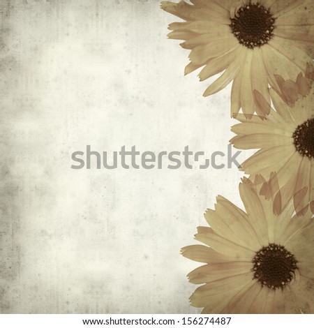 textured old paper background with calendula