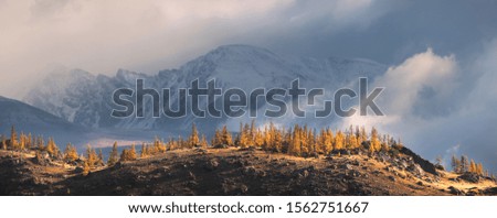 Panoramic autumn view. Bad weather in the mountains, snow falls on the peaks. Rocky slopes with a rare forest.