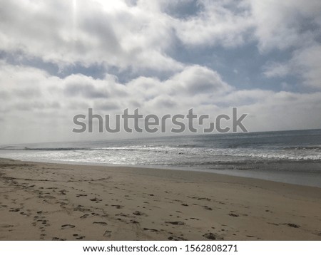 Beach background and dog paw prints plus photo