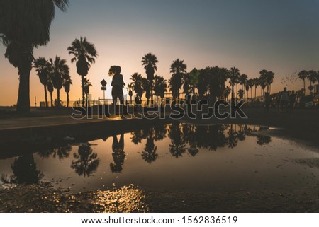 Fabulous sunset in Venice Beach