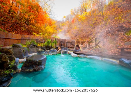 Japanese Hot Springs Onsen Natural Bath Surrounded by red-yellow leaves. In fall leaves fall in Yamagata. Japan. Royalty-Free Stock Photo #1562837626