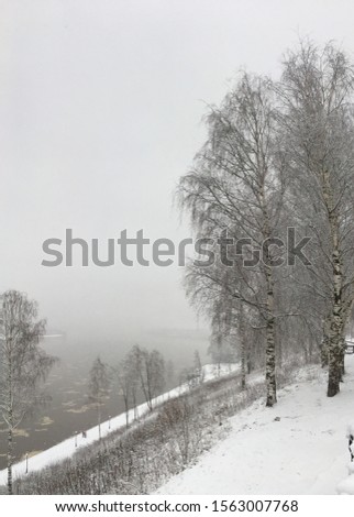 Winter landscape. Snow, birch trees, fog, river.