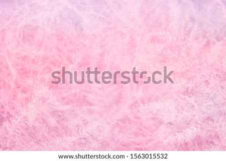 Blurred abstract pink floral background