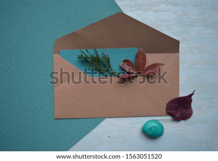 mockup  kraft envelope with plants.invitation card with environment and details  mockup with postcard and flowers on colorful background