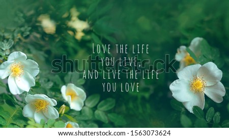 Love the life you live, and live the life you love - inspiration motivation quote and wild white rose flowers on green natural background. romantic artistic floral nature image. spring summer season