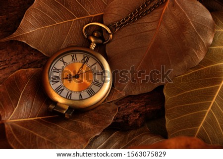 Retro vintage antique pocket watch clock lying on dry leaf background in autumn fall . Concept of past or future time. 
