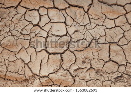 dry cracked earth texture close-up 
