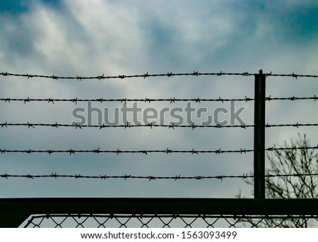 Barbed wire fence of an old jail.
