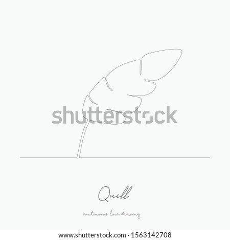 continuous line drawing. quill. simple vector illustration. quill concept hand drawing sketch line.