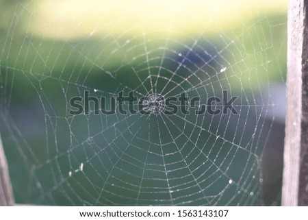 A spider web on a fence at the country side. Green grass in the background, rural setting. No spider. Halloween spooky concept. Natural outdoor outside in the garden setting