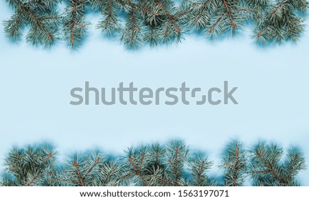 Christmas texture with pine cone tree branches on blue background.