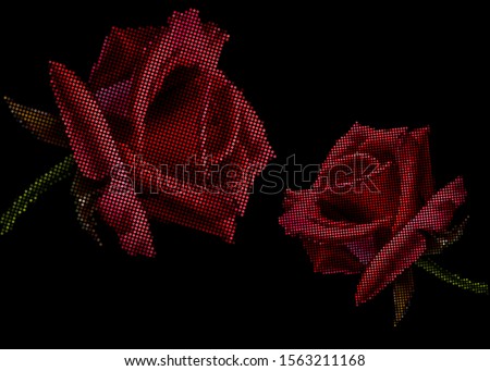 Halftone red roses on a black background. Vector flowers. EPS 10
