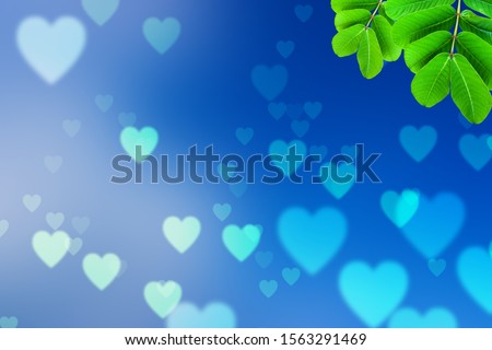 A close-up natural view of green leaves on a blurred blue background, with a copying space used as a wallpaper concept background