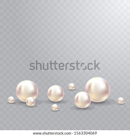 Vector Illustration for your design. Luxury beautiful shining jewellery background with white pearls vector illustration. Beautiful shiny natural pearls. With transparent glares and highlights for Royalty-Free Stock Photo #1563304069
