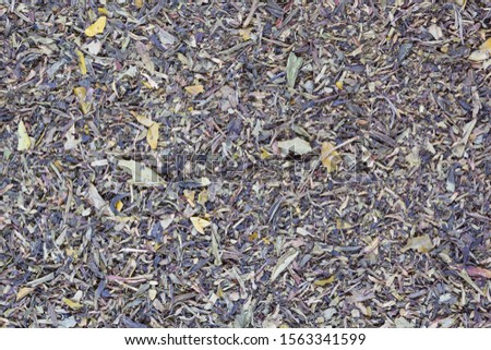 Fujian Liu Cha green tea leaves as the background