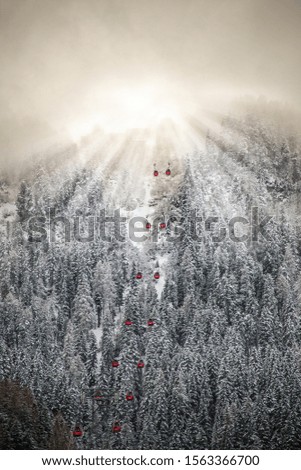 A vertical shot of a snow covered mountain full of trees