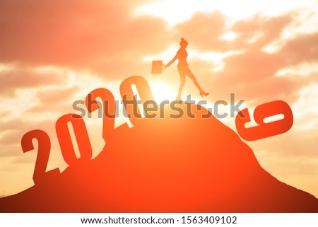silhouette of businesswoman on the moutain with 2020