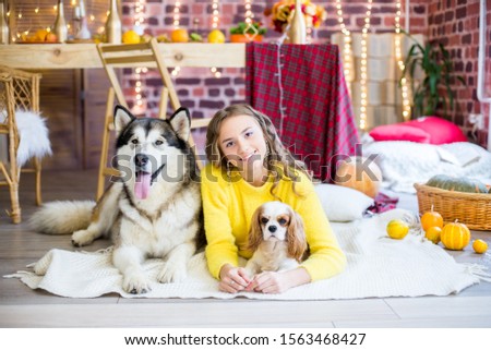 Cute teenage girl with blond curly hair in a studio with autumnal decorations with pumpkins and yellow leaves with a big malamute dog. People and Dogs. Autumn mood