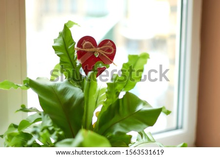 Red heart in green leaves.