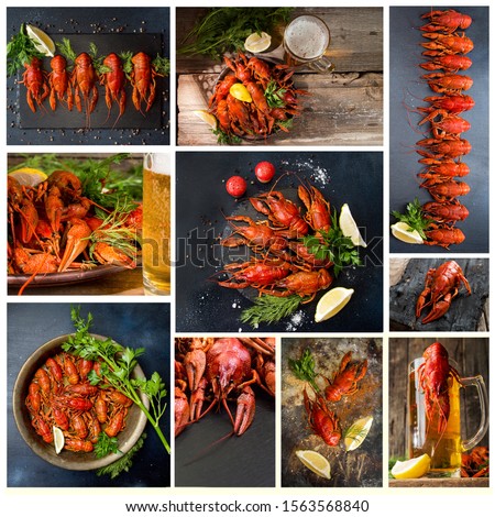 Food set collage of various pictures of crayfish crawfish. Boiled ready-to-eat crayfish and jar of beer on various background.