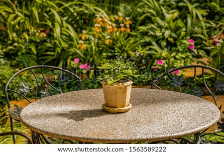The light and shadow of the tables and chairs in the flower garden