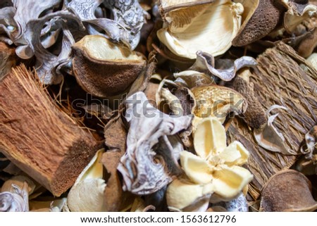 Colorful Dried Flowers, Background picture