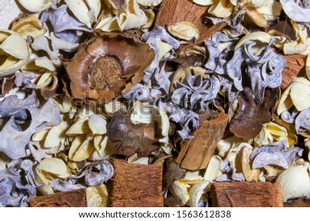 Colorful Dried Flowers, Background picture