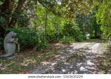 Dirt driveway with trees on both sides and a manatee statue at the front