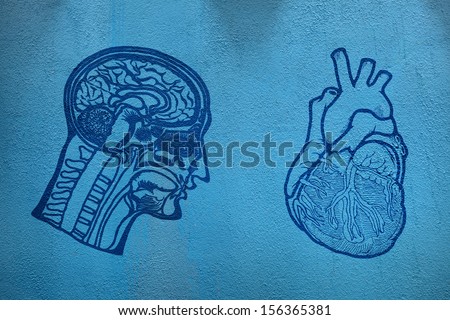 Print of a human head and a heart illuminated on a blue grungy wall for the concept of head vs heart.