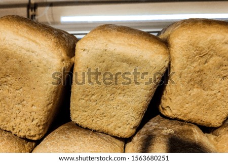Fresh bread on shelves stand of a shop or bakery. Freshly baked bread loaves at window of store front. Organic pastry. Space for text.