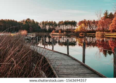 A wooden boardwalk alongside gorgeous pond reflections as the morning sun rises from behind the pines. A beautiful autumn landscape at Jester Park, Iowa, USA. Royalty-Free Stock Photo #1563694357