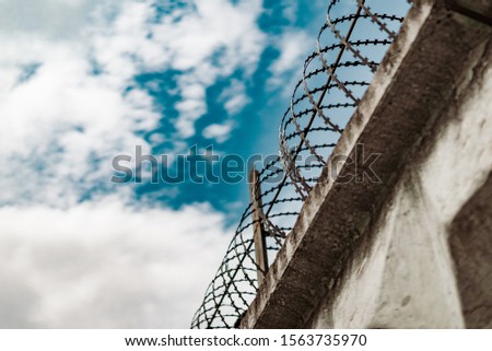 Barbed wire on a concrete fence in prison