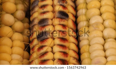 Textured background of multi-colored corn
Colorful corn background close up macro Photography