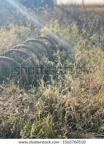 old farm equipment with grass. Makes it perfect picture for a rustic scenery.