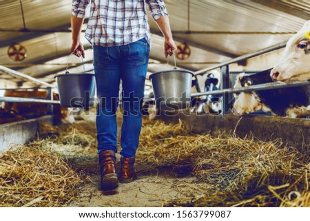 Cropped picture of handsome caucasian farmer holding buckets with milk while walking in stable.
