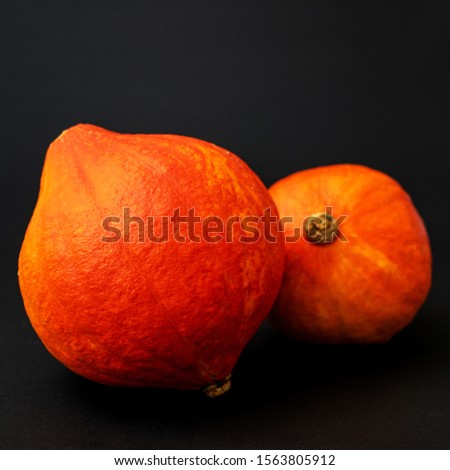 Two fresh orange pumpkins, black background, side view, 1:1